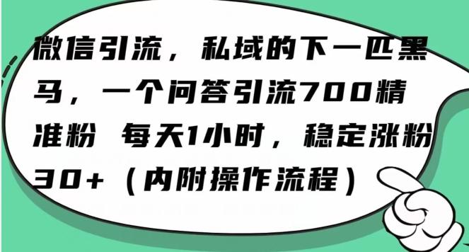 怎么搞精准创业粉？微信新赛道，每天一小时，利用Ai一个问答日引100精准粉-网创论坛