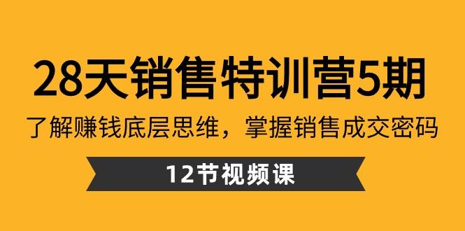 28天销售特训营5期：了解赚钱底层思维，掌握销售成交密码（12节课）-网创论坛