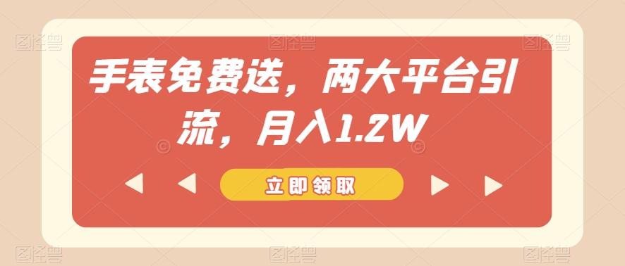 手表免费送，两大平台引流，月入1.2W【揭秘】-网创论坛
