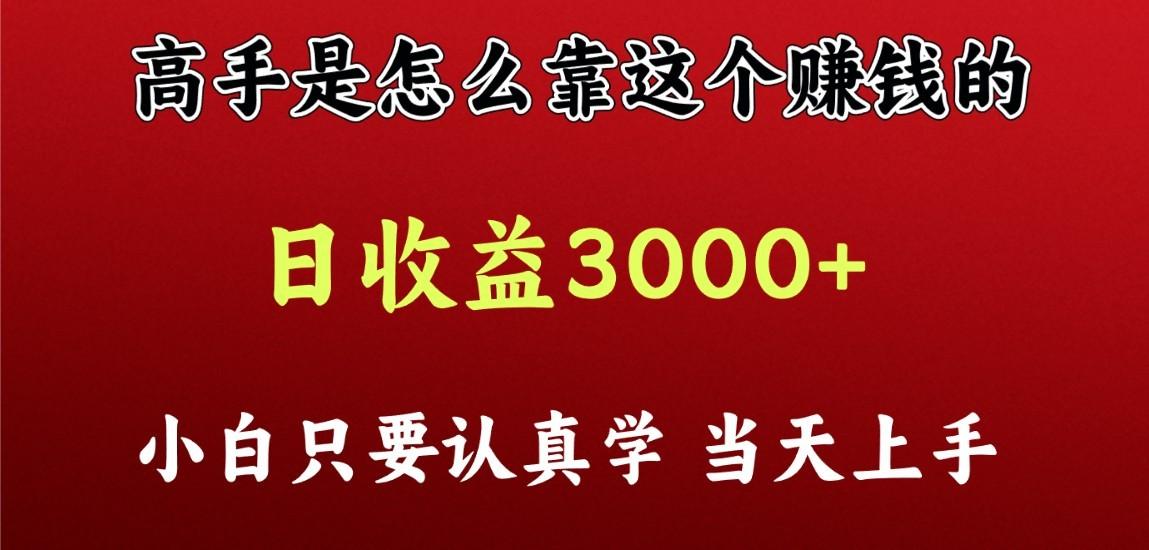看高手是怎么赚钱的，一天收益至少3000+以上，小白当天上手-网创论坛