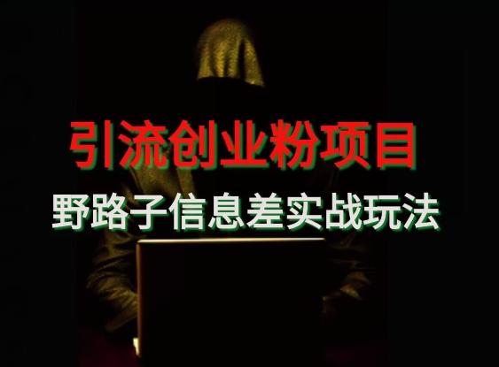 【引流创业粉】野路子信息差玩法实战教学-网创论坛