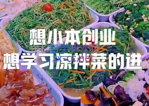 李记·精品凉拌菜系列热卤系列教程-网创论坛