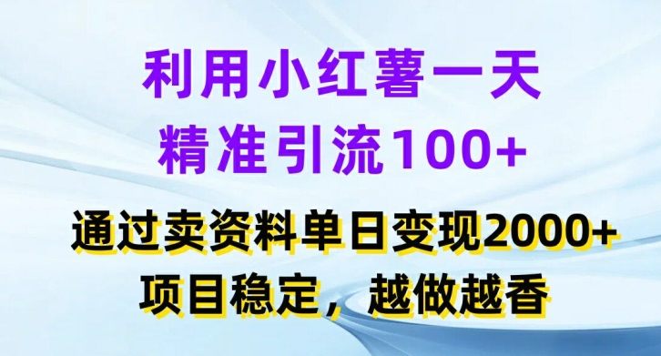 利用小红书一天精准引流100+，通过卖项目单日变现2k+，项目稳定，越做越香【揭秘】-网创论坛