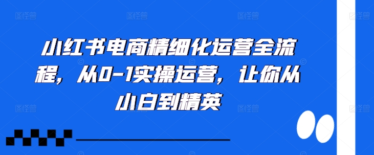 小红书电商精细化运营全流程，从0-1实操运营，让你从小白到精英-网创论坛