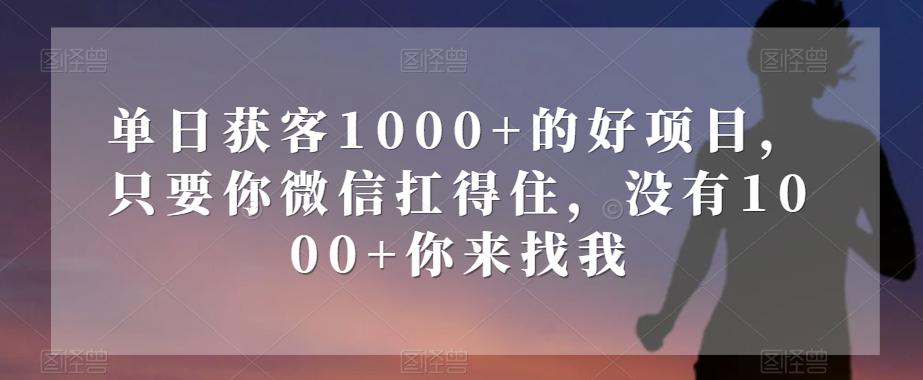 单日获客1000+的好项目，只要你微信扛得住，没有1000+你来找我【揭秘】-网创论坛