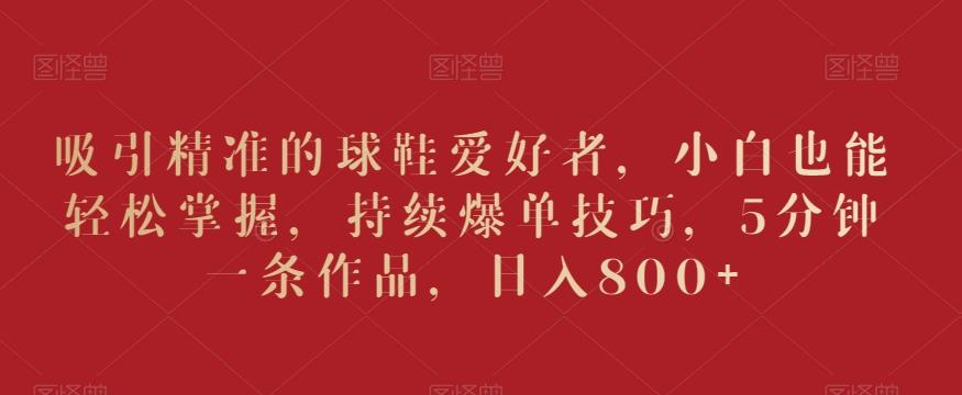 吸引精准的球鞋爱好者，小白也能轻松掌握，持续爆单技巧，5分钟一条作品，日入800+【揭秘】-网创论坛