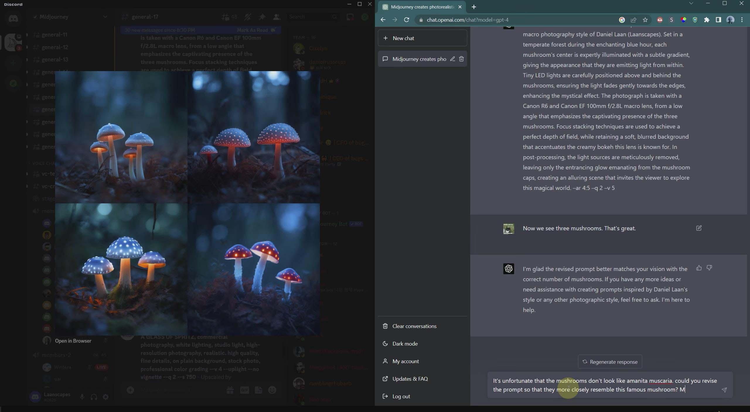 图片[4]-(8717期)摄影师 Daniel Laan 使用ChatGPT与Midjourney生成风光图像-中英字幕-网创论坛