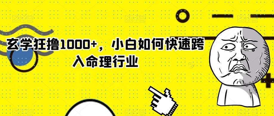 玄学狂撸1000+，小白如何快速跨入命理行业-网创论坛