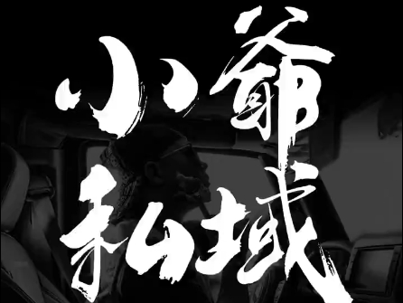 小爷·私域项目操盘手-网创论坛