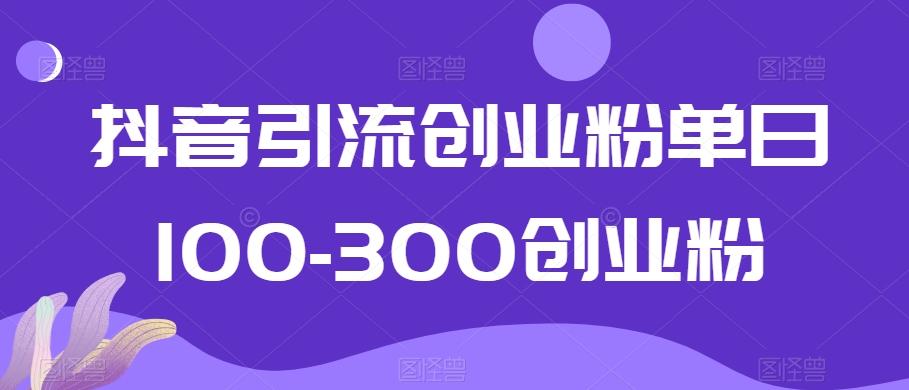 抖音引流创业粉单日100-300创业粉【揭秘】-网创论坛