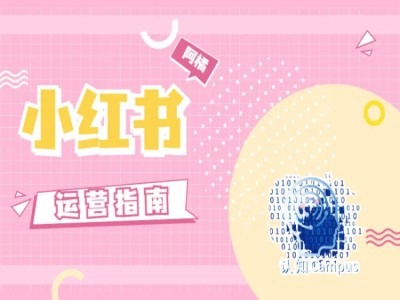 小红书运营指南，没有套路，全是经验-网创论坛