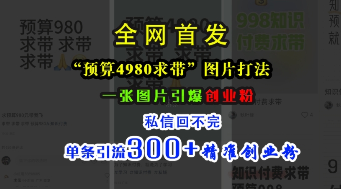 小红书“预算4980带我飞”图片打法，一张图片引爆创业粉，私信回不完，单条引流300+精准创业粉-网创论坛