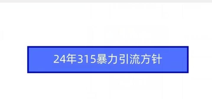 24年315暴力引流方针-网创论坛