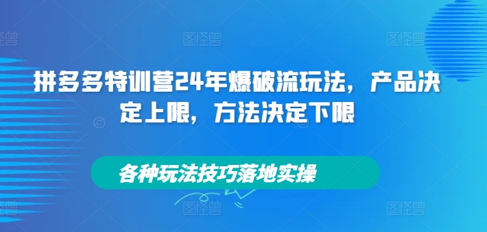 拼多多特训营24年爆破流玩法，产品决定上限，方法决定下限，各种玩法技巧落地实操-网创论坛