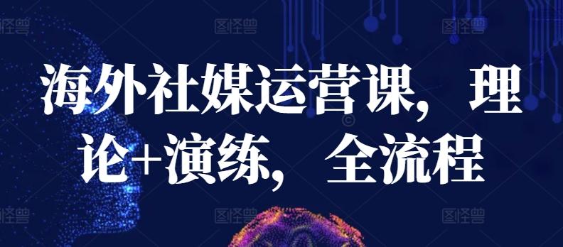 海外社媒运营课，理论+演练，全流程-网创论坛