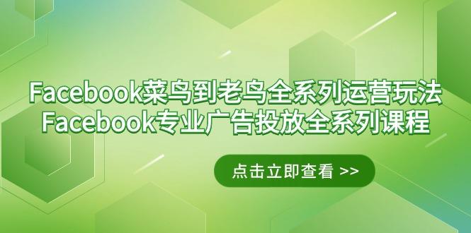 Facebook-菜鸟到老鸟全系列运营玩法+Facebook-专业广告投放全系列课程-网创论坛