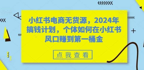 小红书电商无货源，2024年搞钱计划，个体如何在小红书风口赚到第一桶金-网创论坛