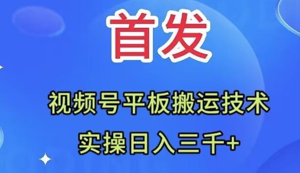 全网首发：视频号平板搬运技术，实操日入三千＋-网创论坛