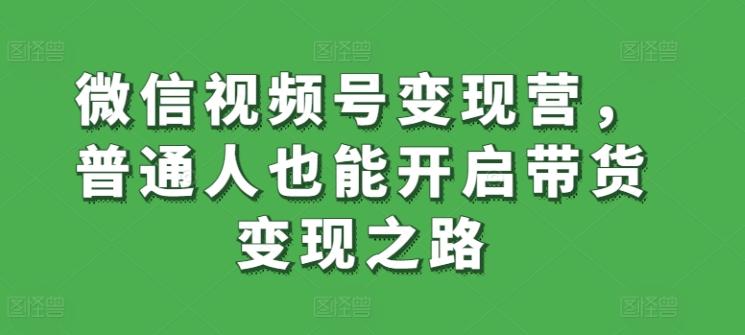 微信视频号变现营，普通人也能开启带货变现之路-网创论坛