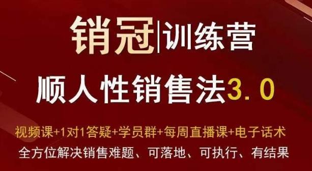 爆款！销冠训练营3.0之顺人性销售法，全方位解决销售难题、可落地、可执行、有结果-网创论坛
