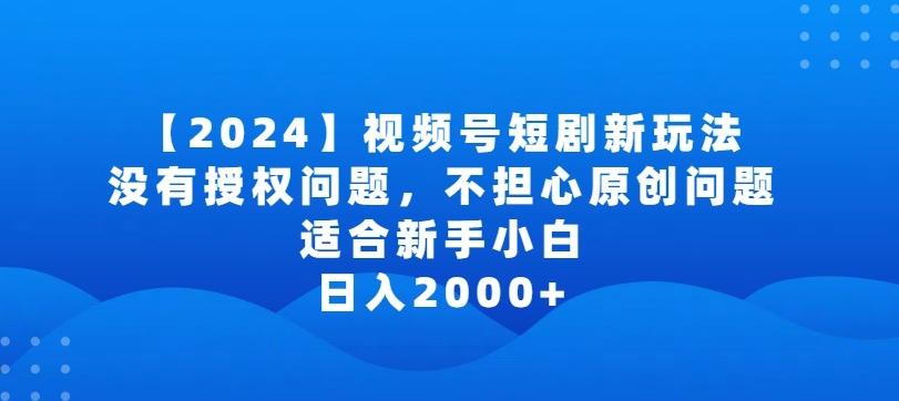2024视频号短剧玩法，没有授权问题，不担心原创问题，适合新手小白，日入2000+【揭秘】-网创论坛