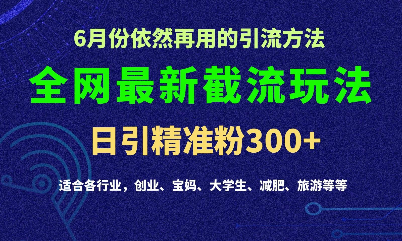 2024全网最新截留玩法，每日引流突破300+-网创论坛