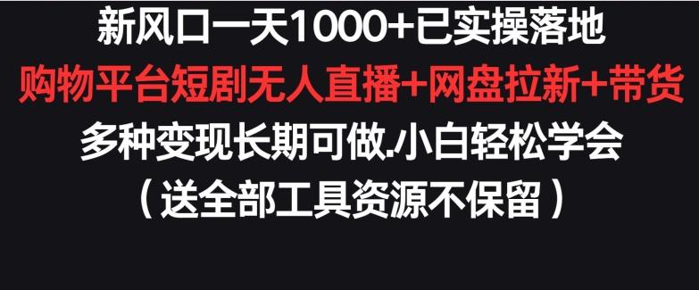 新风口一天1000+已实操落地购物平台短剧无人直播+网盘拉新+带货多种变现长期可做【揭秘】-网创论坛
