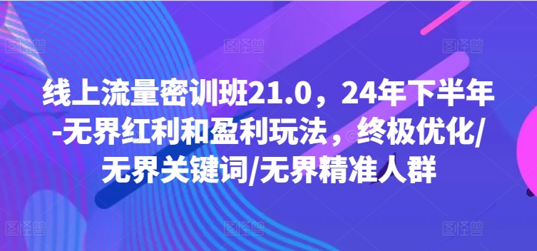 线上流量密训班21.0，24年下半年-无界红利和盈利玩法，终极优化/无界关键词/无界精准人群-网创论坛