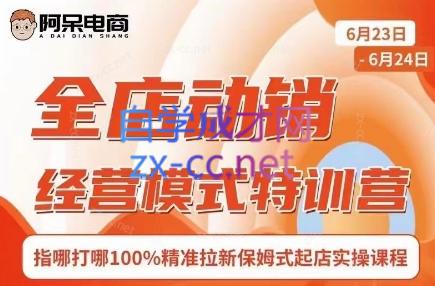 阿呆电商·全店动销经营模式特训营(线下录音+思维导图)-网创论坛