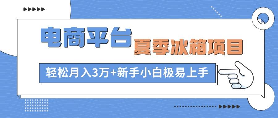 电商平台夏季冰箱项目，轻松月入3万+，新手小白极易上手-网创论坛