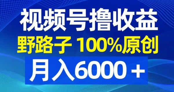 视频号野路子撸收益，100%原创，条条爆款，月入6000＋【揭秘】-网创论坛