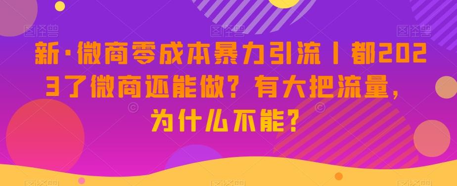 新·微商零成本暴力引流丨都2023了微商还能做？有大把流量，为什么不能？-网创论坛