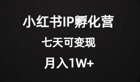 价值2000+的小红书IP孵化营项目，超级大蓝海，七天即可开始变现，稳定月入1W+-网创论坛