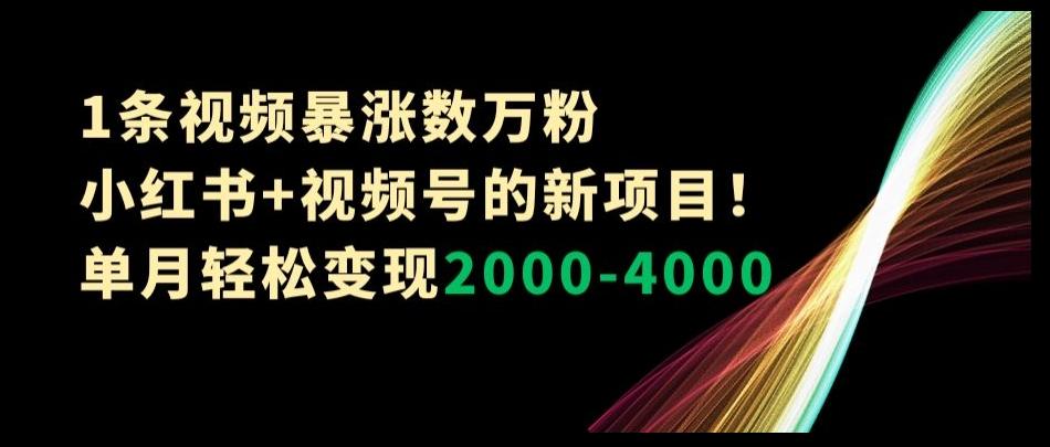 1条视频暴涨数万粉–小红书+视频号的新项目！单月轻松变现2000-4000【揭秘】-网创论坛