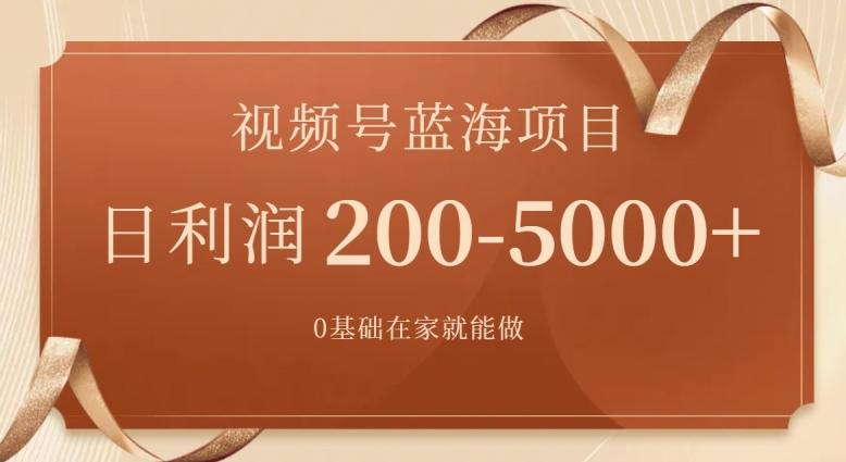外边收费699视频号项目，最新玩法，简单好操作，一人可做，日四位数-网创论坛