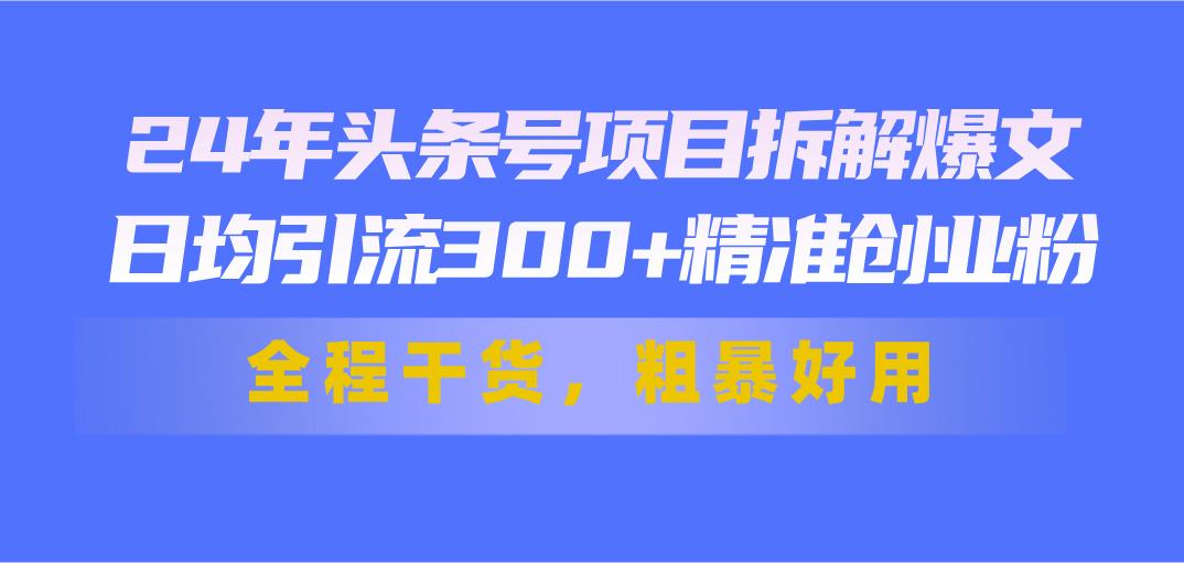 24年头条号项目拆解爆文，日均引流300+精准创业粉，全程干货，粗暴好用-网创论坛