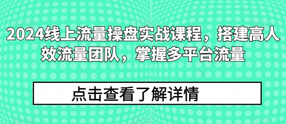 2024线上流量操盘实战课程，搭建高人效流量团队，掌握多平台流量-网创论坛