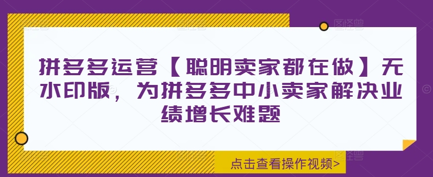 拼多多运营【聪明卖家都在做】无水印版，为拼多多中小卖家解决业绩增长难题-网创论坛