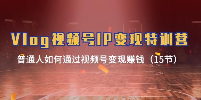 Vlog 视频号IP变现特训营，普通人如何通过视频号变现赚钱(15节-网创论坛