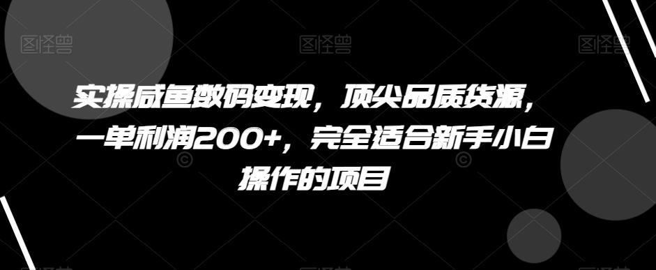 实操咸鱼数码变现，顶尖品质货源，一单利润200+，完全适合新手小白操作的项目【揭秘】-网创论坛