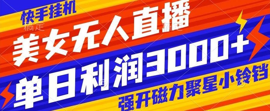 快手挂机，美女无人直播，强开磁力聚星小铃铛，日入3000+-网创论坛