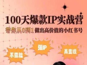小红书100天爆款IP实战营，带你从0到1做出高价值的小红书号-网创论坛