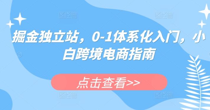 掘金独立站，0-1体系化入门，小白跨境电商指南-网创论坛