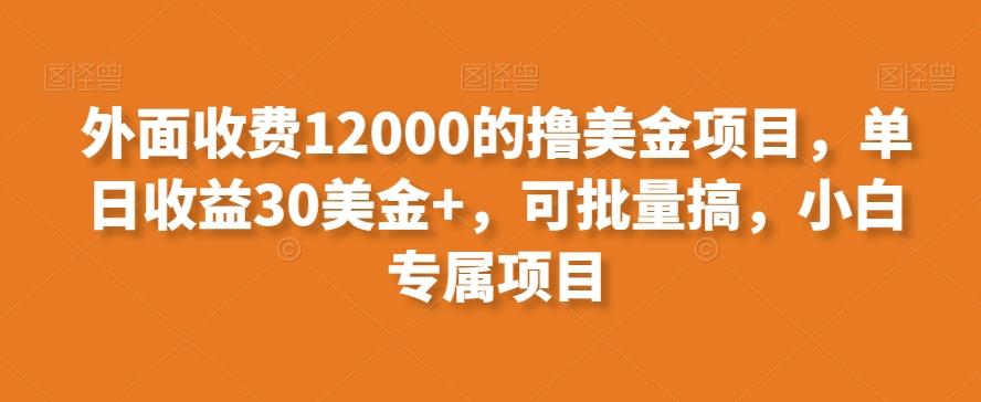 外面收费12000的撸美金项目，单日收益30美金+，可批量搞，小白专属项目-网创论坛