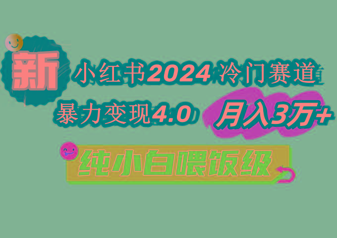 小红书2024冷门赛道 月入3万+ 暴力变现4.0 纯小白喂饭级-网创论坛
