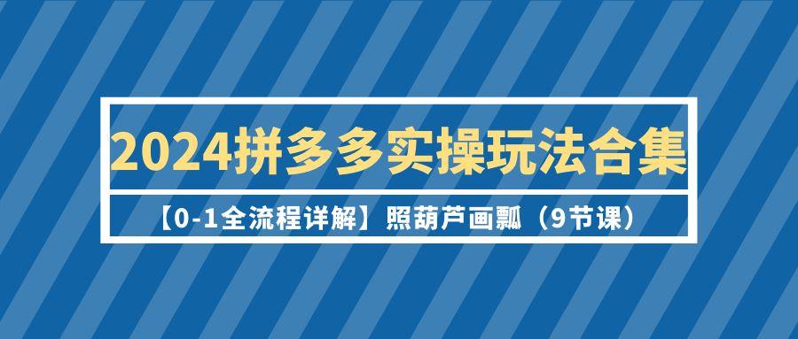 (9559期)2024拼多多实操玩法合集【0-1全流程详解】照葫芦画瓢(9节课)-网创论坛