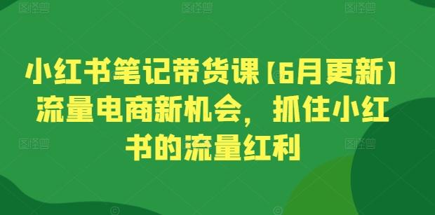 小红书笔记带货课【6月更新】流量电商新机会，抓住小红书的流量红利-网创论坛
