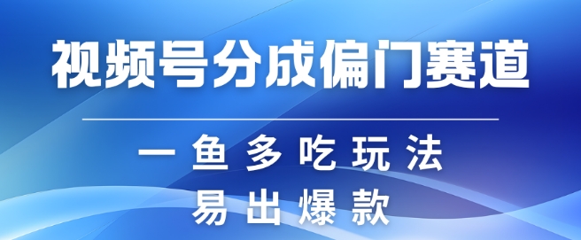 视频号创作者分成计划偏门类目，容易爆流，实拍内容简单易做【揭秘】-网创论坛