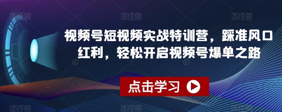 视频号短视频实战特训营，踩准风口红利，轻松开启视频号爆单之路-网创论坛