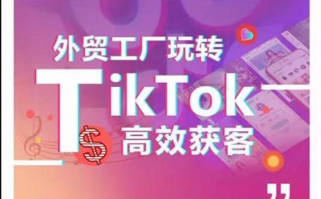 外贸工厂玩转TikTok高效获客，多种引流方式与账号定位技巧，拆解爆款短视频打造成功案例-网创论坛